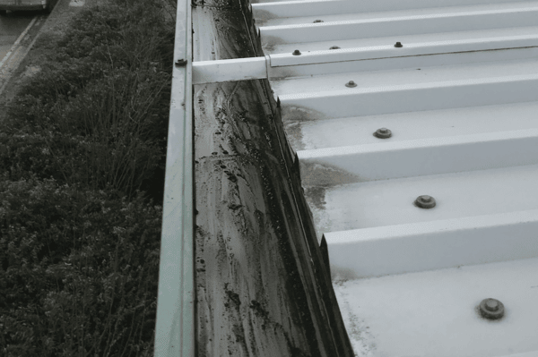 Commercial gutter cleaning specialists in Stondon
